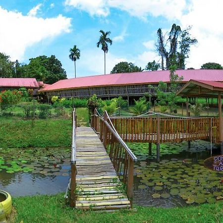 Sabah Tea Garden-Longhouses Ranau Exteriér fotografie