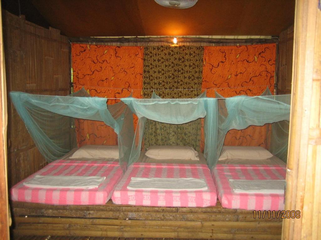Sabah Tea Garden-Longhouses Ranau Pokoj fotografie
