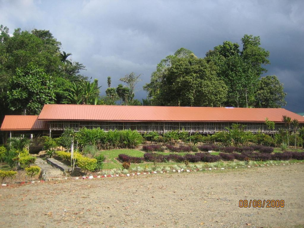 Sabah Tea Garden-Longhouses Ranau Exteriér fotografie
