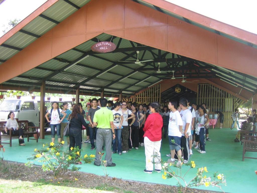 Sabah Tea Garden-Longhouses Ranau Exteriér fotografie