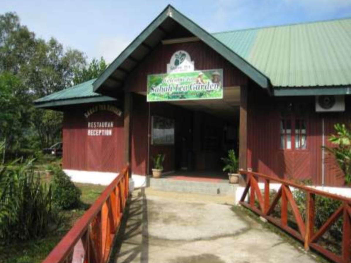 Sabah Tea Garden-Longhouses Ranau Exteriér fotografie
