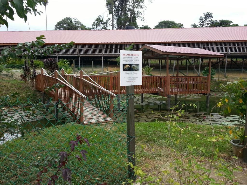 Sabah Tea Garden-Longhouses Ranau Exteriér fotografie