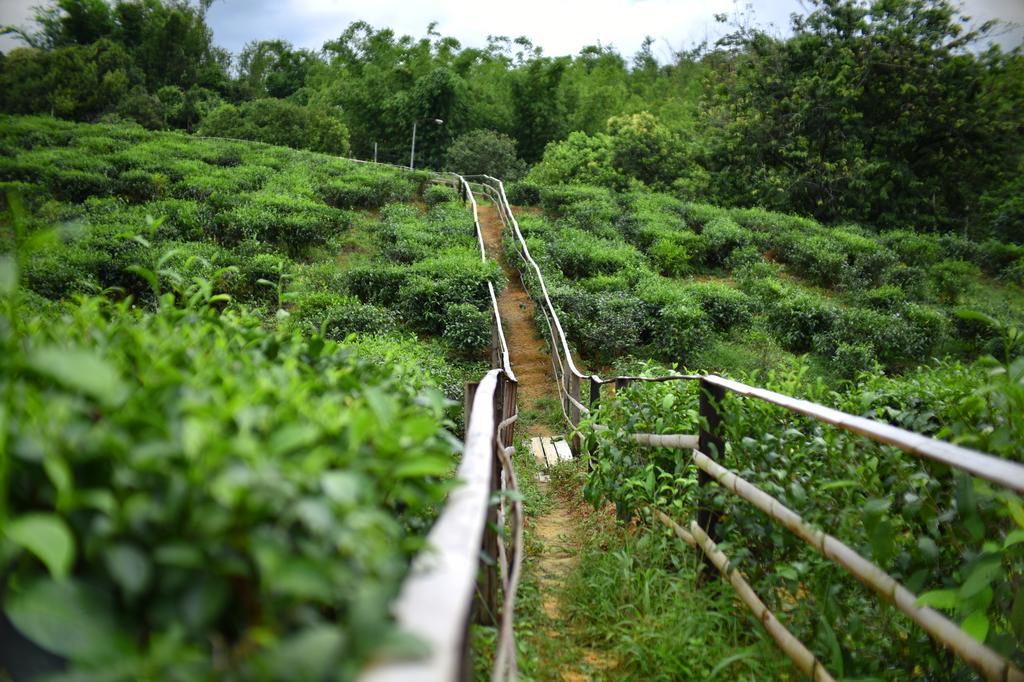 Sabah Tea Garden-Longhouses Ranau Exteriér fotografie