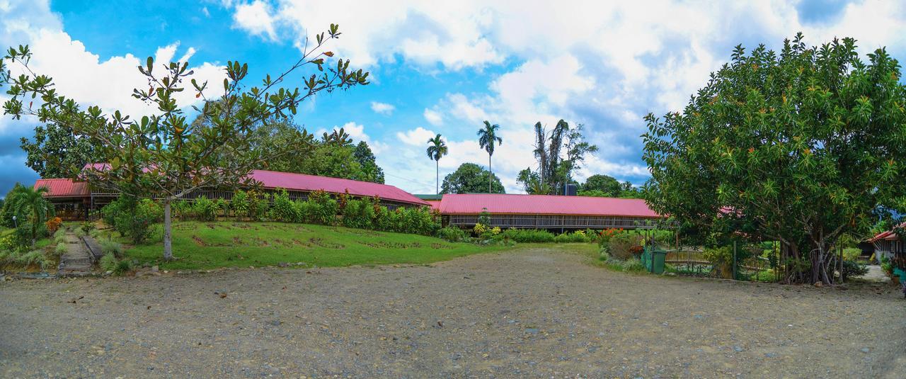 Sabah Tea Garden-Longhouses Ranau Exteriér fotografie