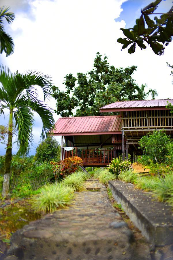 Sabah Tea Garden-Longhouses Ranau Exteriér fotografie