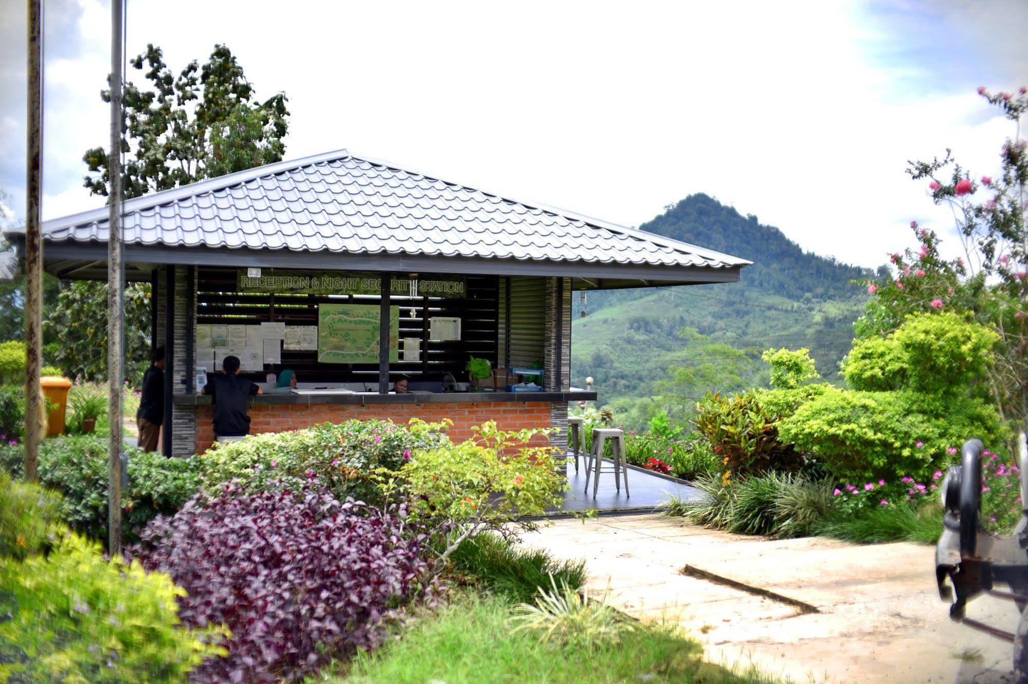 Sabah Tea Garden-Longhouses Ranau Exteriér fotografie